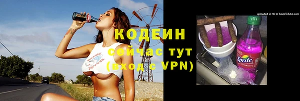твердый Володарск