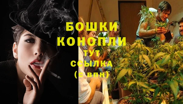 ешки Волоколамск