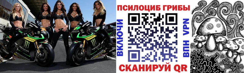 Галлюциногенные грибы мицелий  как найти закладки  Мытищи 